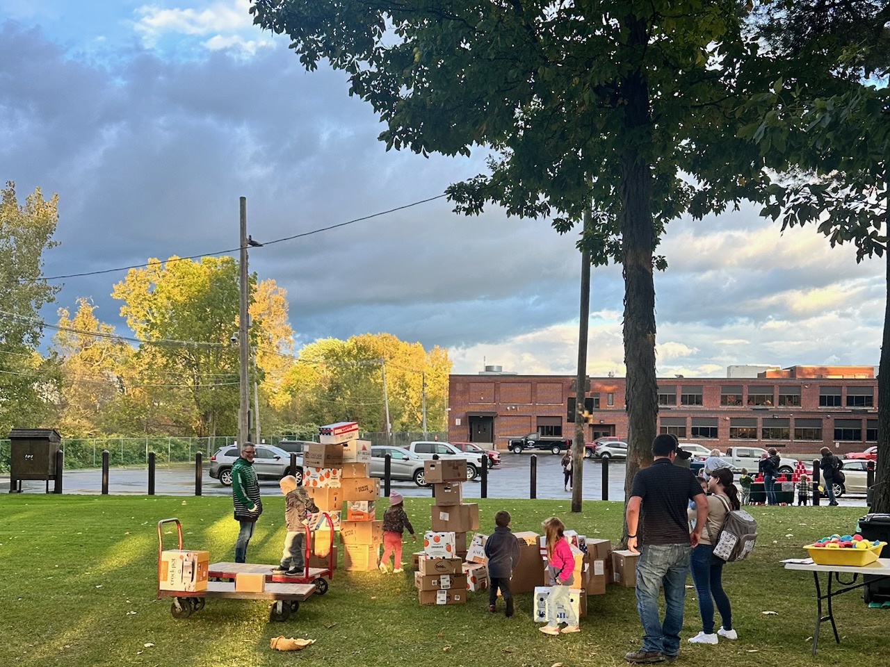 Families playing with boxes