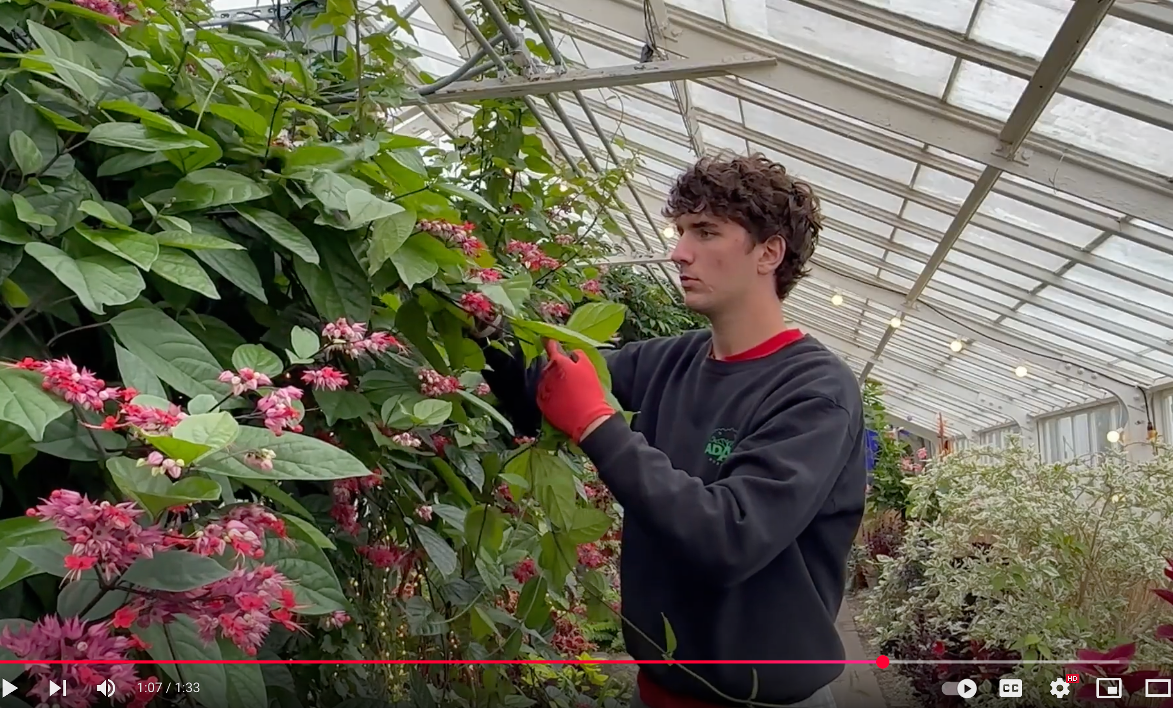 Plant Science Program Overview Video